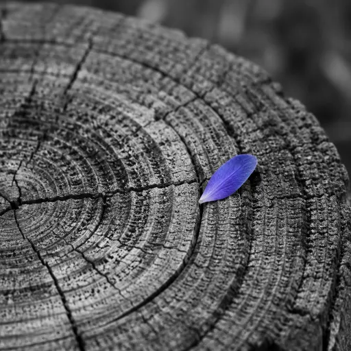 The Summer Playbook: What Transformation Leaders Should Read, Reflect, and Reset Before Q3