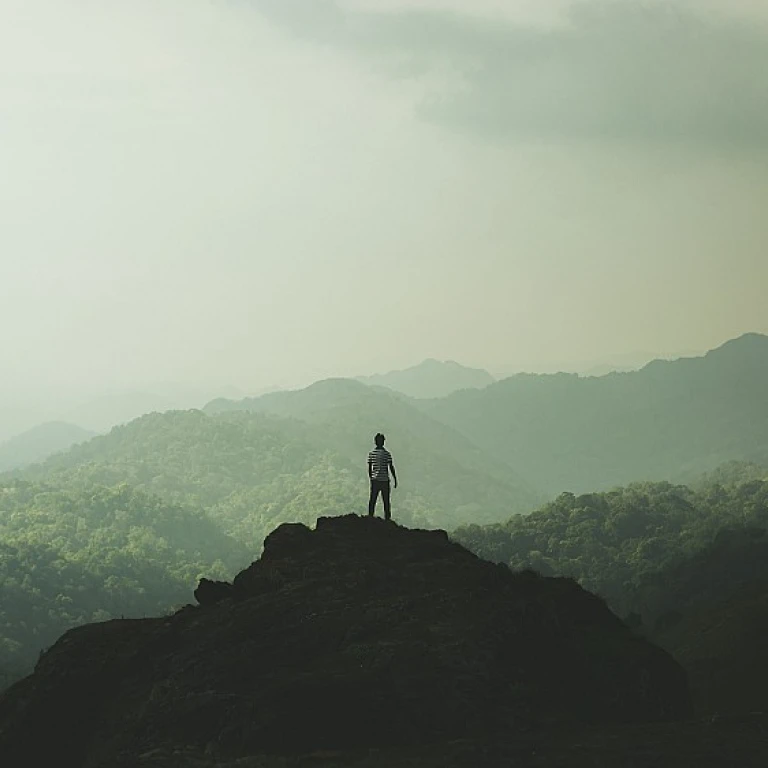 Enhancing Employee Well-being: The Role of CHRO in Mental Health Initiatives
