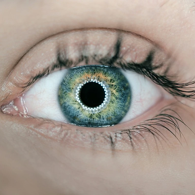 Enhancing Talent Acquisition with Effective Lead Lists