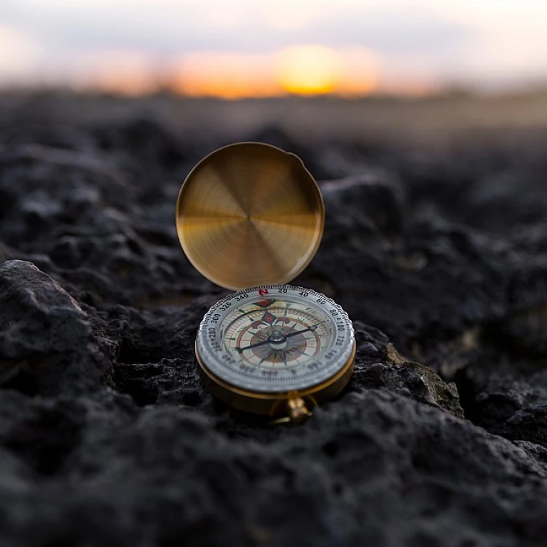 Optimizing Compensation Strategies for Enterprises