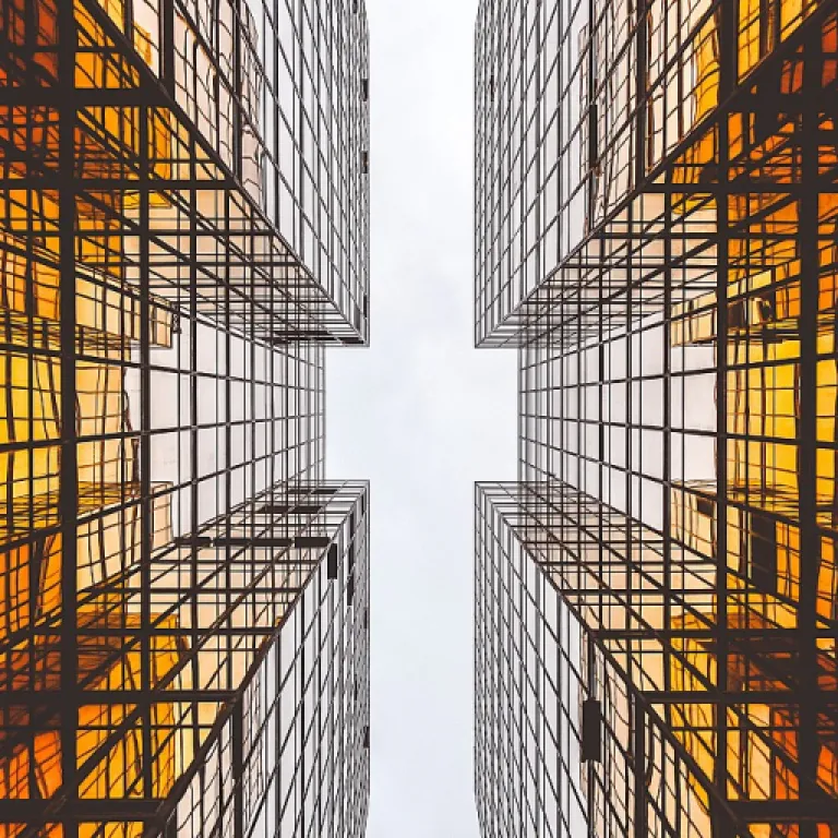 Building a High-Performing Team