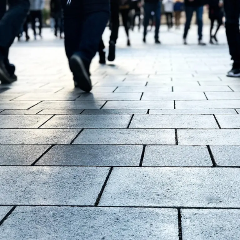 How chro strategy is shaping inclusive workplaces at shrm inclusion