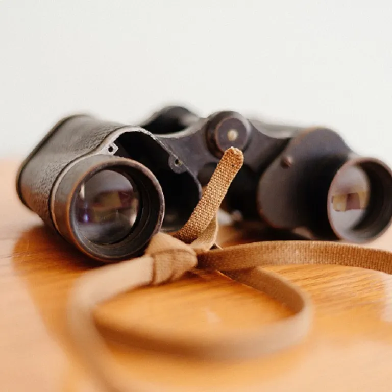 How to choose the right HCM system for your organization